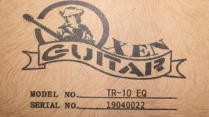 Гитара Travel Oxen Aosen TR 10 EQ - Mutter  ( гр. Rammstein )