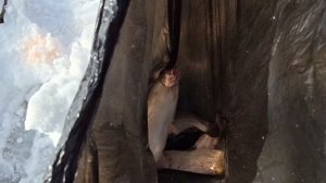 Обстановка на водоеме