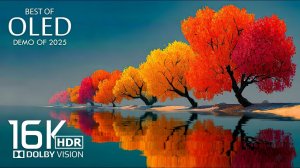 ТЕСТ OLED-ДИСПЛЕЯ - Потрясающее 16K HDR 60 кадров в секунду Dolby Vision (видео 16K)