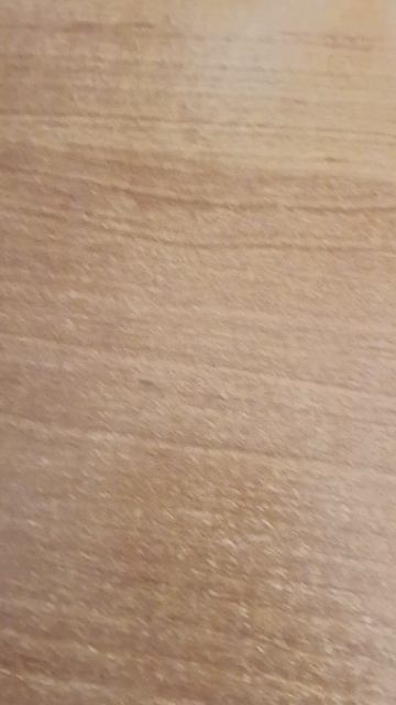 10 рупий Индия 🇮🇳