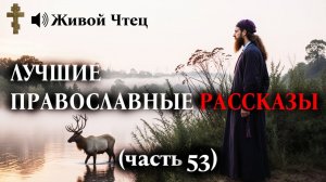 «Убери этого бомжа!» — кричал богач... ЛУЧШИЕ ПРАВОСЛАВНЫЕ РАССКАЗЫ часть 53