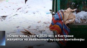 «Стало хуже, чем в 2025-м»: в Костроме жалуются на заваленные мусором контейнеры