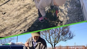 Если делать понемногу, то работа всё равно будет двигаться. Жизнь станичная на пенсии.