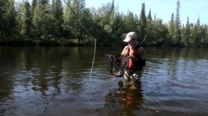 Кирюха с горбушей