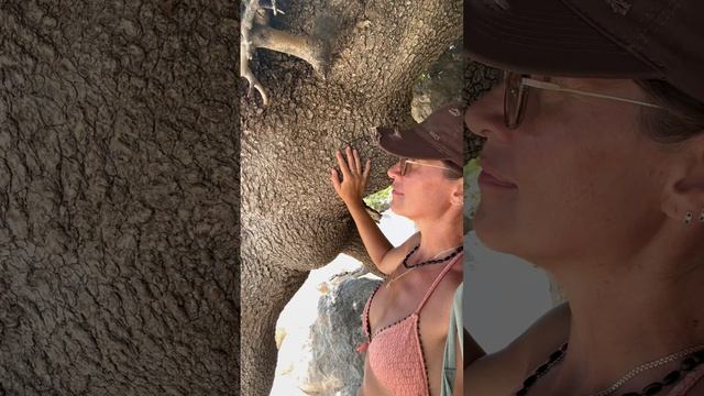 Крым. Судак.