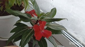 Пятница 13 - ое...Весна-а!