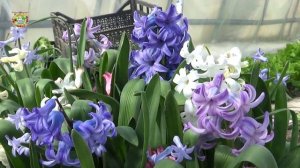 Почему Нужно Отказаться от Посадок и Посевов Семян с 15 по 18 Марта 2026?!