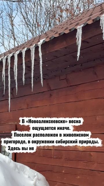 Новоалексеевск - коттеджный поселок: Новосибирск в 22 км.
