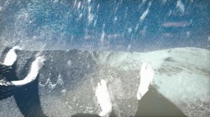 МНЕ БЕЗ ТЕБЯ ТАК ТРУДНО ЖИТЬ.