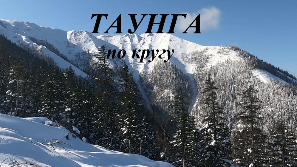 ТАУНГА ОКОЛЬЦОВАННАЯ