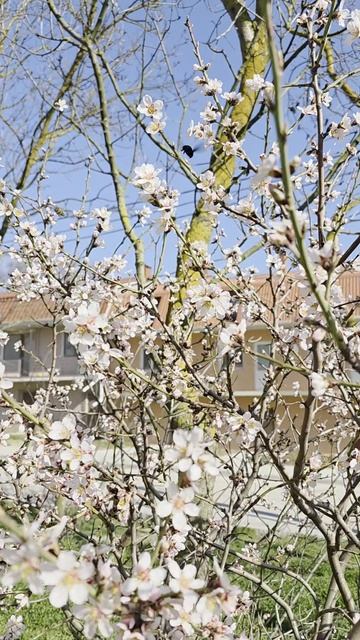 Крым сегодня.Посёлок Приморский.Весна набирает обороты.