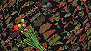 Футажи! Комплект Футажей Планета тюльпанов 1 от Киностудии Мудрого Кота Тимофея!