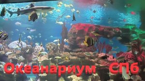 Океанариум