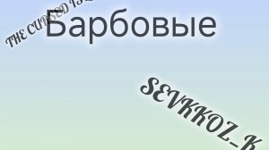 лайфхаки в курседе |барбаридактль | SEVKKOZ_K | the cursed dinosaurs isle