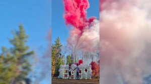 Гендер пати 20