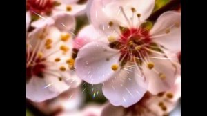 "Мелодия весны" стихи Н Денисенко (Смоляк) /нейросеть Suno Al... 🖐❤🙏🌷🌷🌷🌷🌷