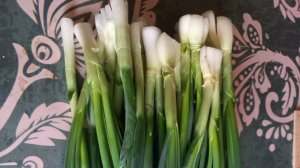 ПОСЛЕДНИЯ ЗЕЛЕНЬ