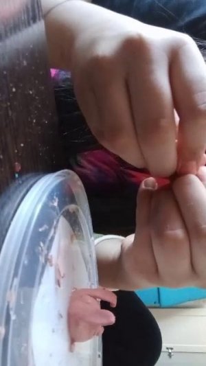 Лепим из глины