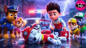 Щенячий патруль и Маршалл. Залипательное видео. Мультфильм для детей и малышей. Анимация 371