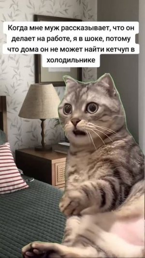 И такое бывает