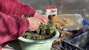 13-03-2026.  Пошла на огород с проверкой.