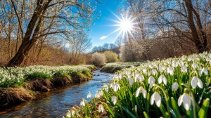 Я сегодня увидала,что на улице весна.