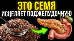 Мало кто знает! Это СЕМЯ восстанавливает ПОДЖЕЛУДОЧНУЮ лучше таблеток