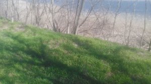 Природный ландшафт, в ранний весенний период.2026.03.13