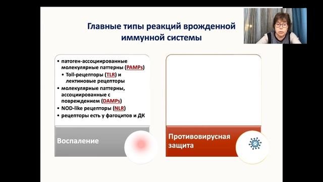 Часть 2. Врожденный иммунитет