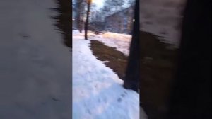 вечерний стрим