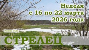 СТРЕЛЕЦ | ТАРО прогноз на неделю с 16 по 22 марта 2026 года