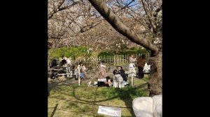 Япония-10 Храмы Киото