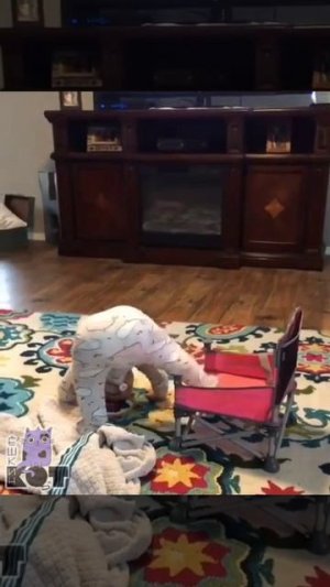 Главное, хорошо прицелиться