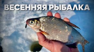 Весенняя РЫБАЛКА. Вот это РЫБАЛКА. Не ожидал такого.