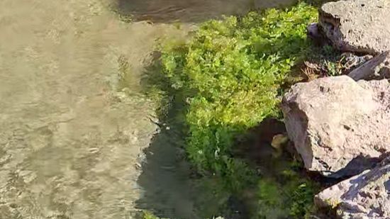 Михайловский родник под Таганрогом