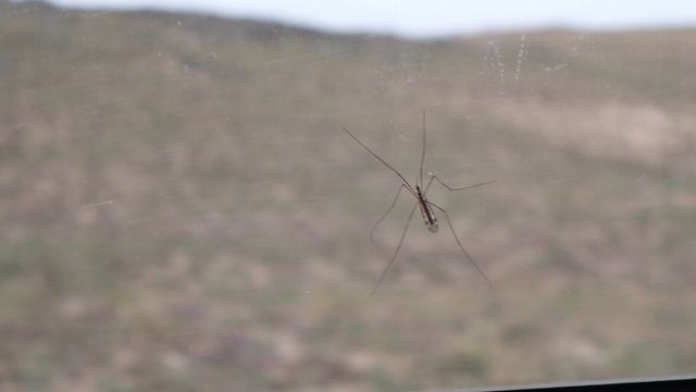 MVI_6613 смотреть онлайн