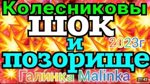 Колесниковы _Шок и Позорище _Обзор Влогов _7-Я Колесниковых _Деревенский дневник _