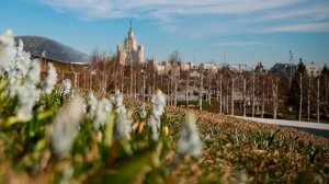 Метеорологическая весна пришла в Москву на 10 дней раньше срока