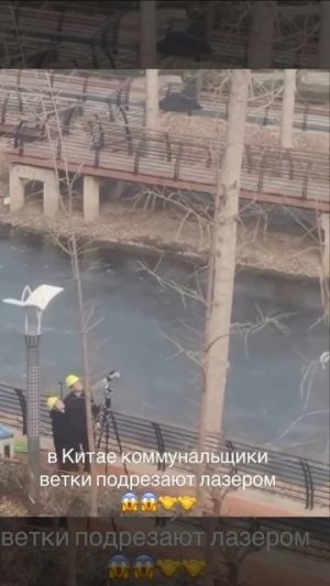 Резать ветки деревьев лазером научились коммунальщики из Китая.Это позволяет сделать процесс быстрее