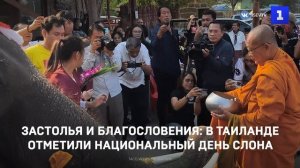 Застолья и благословения: в Таиланде отметили Национальный день слона