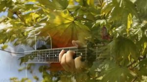 Белая береза - дворовые песни 70-х