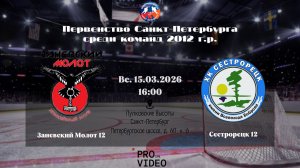 ХК "Заневский Молот" 12 - ХК "Сестрорецк" 12 | 15.03.2026