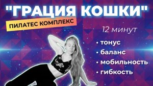 ТРЕНИРОВКА НА ВСЁ ТЕЛО ДОМА • УПРАЖНЕНИЯ НА ВСЁ ТЕЛО • ПИЛАТЕС КОМПЛЕКС