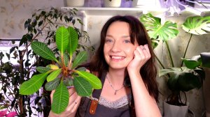 Будни цветовода, рутина с растениями. Пересаживаю подростков и сажаю семена