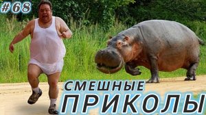 Я_РЖАЛ_ДО_СЛЕЗ_😂_23_Минуты_ОТБОРНЫХ_Русских_приколов_ИЮЛЬ_2024_Смешные