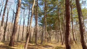 KUGOO WISH 04, Туапсе, Кадош, покатушки.