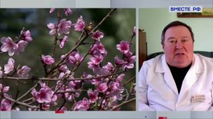 Начало сезона аллергий. Владислав Жемчугов. Сказано в Сенате