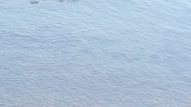 Море. Пятница, тринадцатое