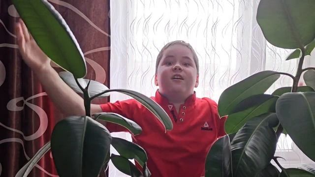 "С праздником, вас дорогие", Читает: Сергеев Александр, 10 лет