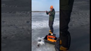 «Секреты ловли леща на течении: советы проводника»